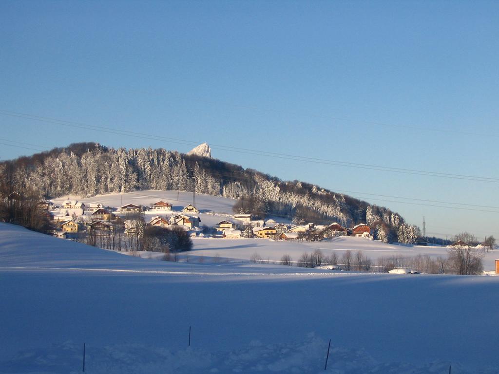 Waldhof 2*